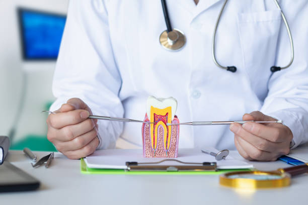 Best Emergency Root Canal Treatment in West Wyoming, PA